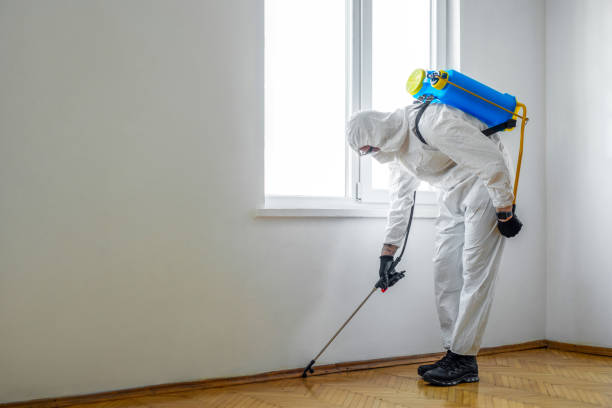 Best Pest Control Near Me  in Woodsfield, OH