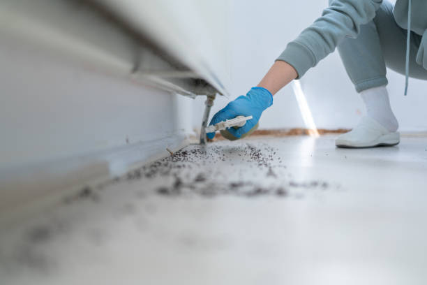 Best Local Pest Control Services  in Woodsfield, OH